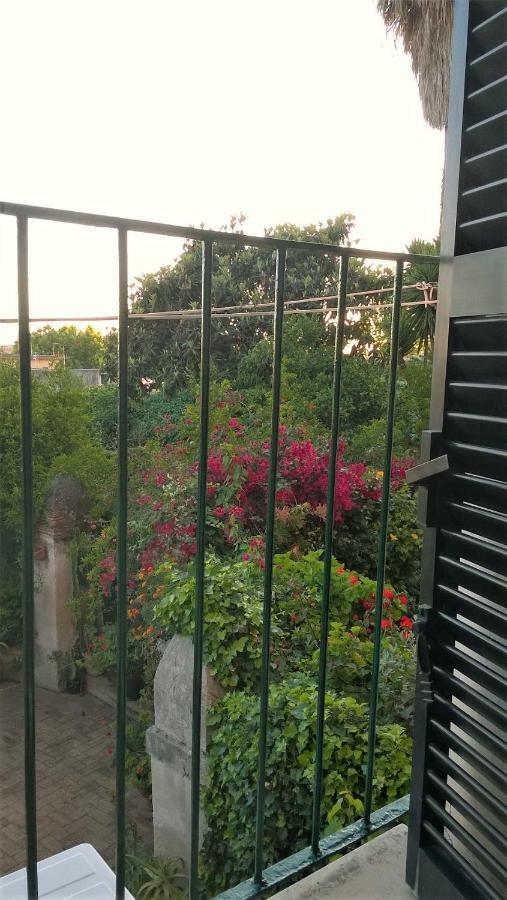 泰拉奇纳Angelina Antica Dimora住宿加早餐旅馆 外观 照片